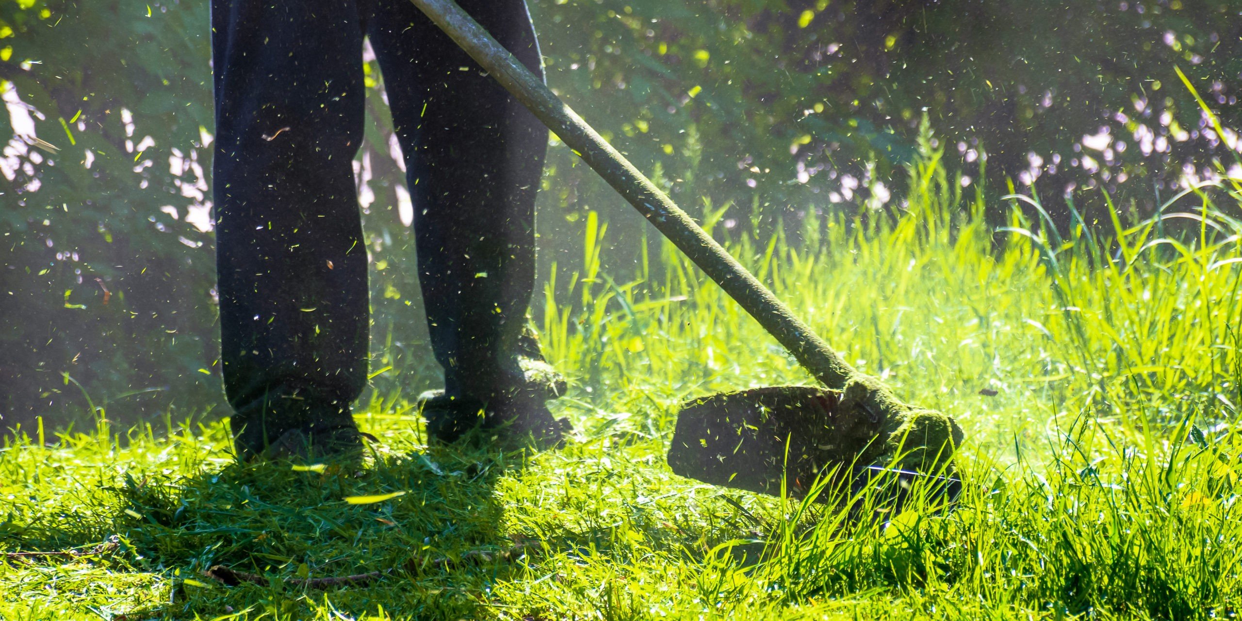 Lawn Care Services Maintenance And Fertilizer The Hoster Group