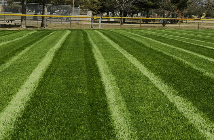striped mowed patterns in park grass