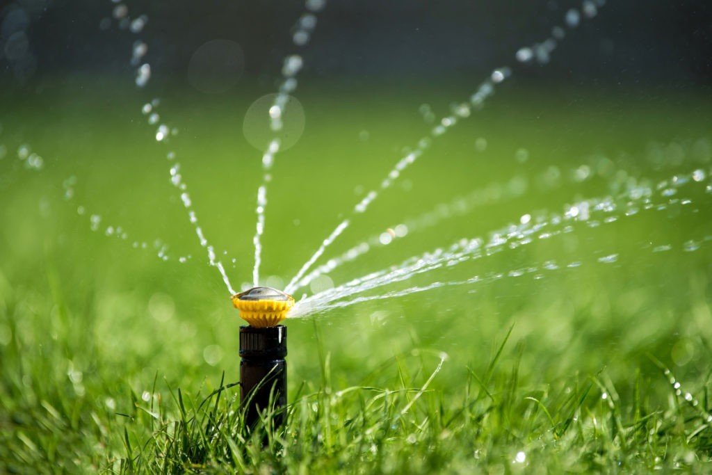 sprinkler in action watering grass